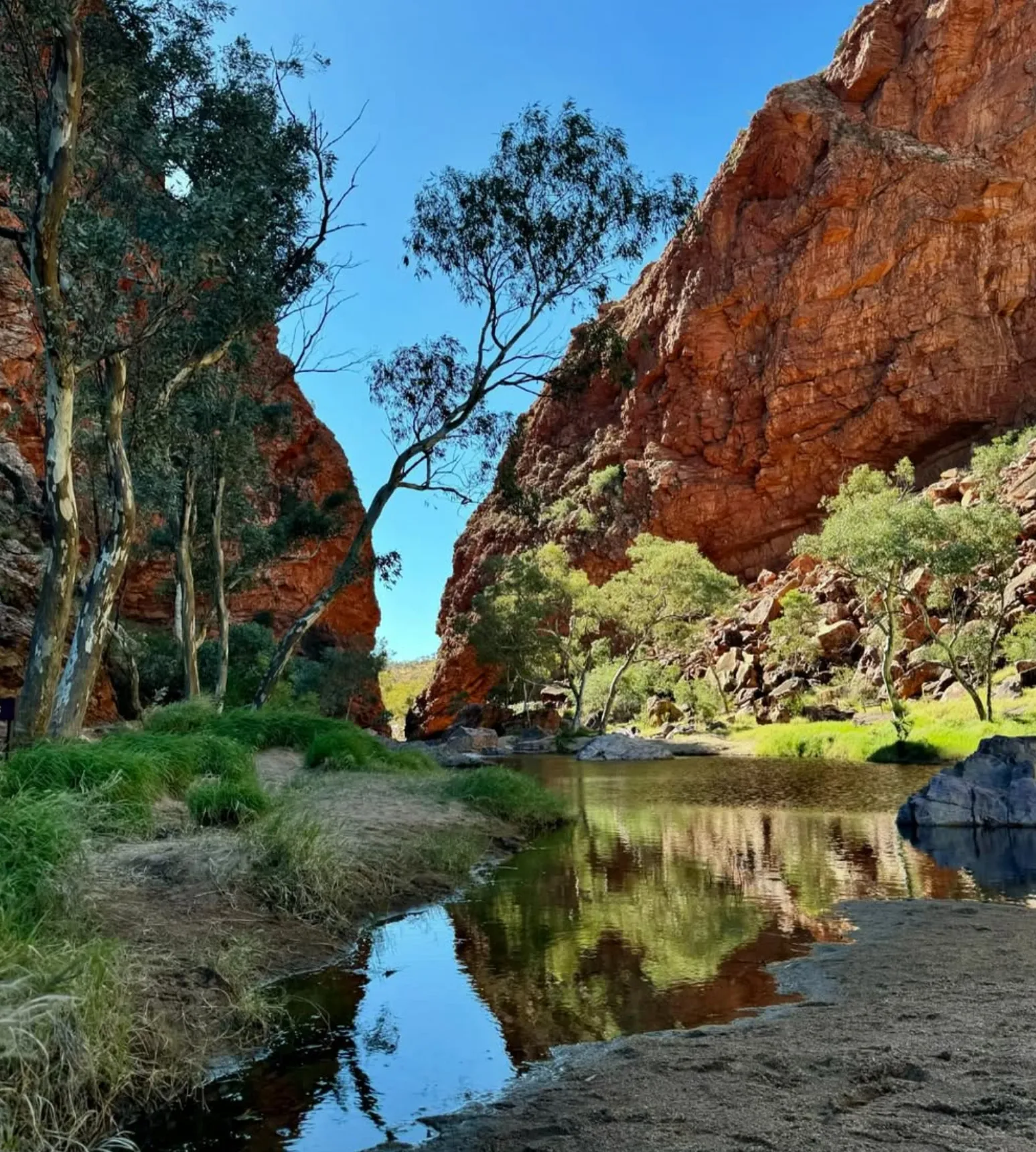 Alice Springs