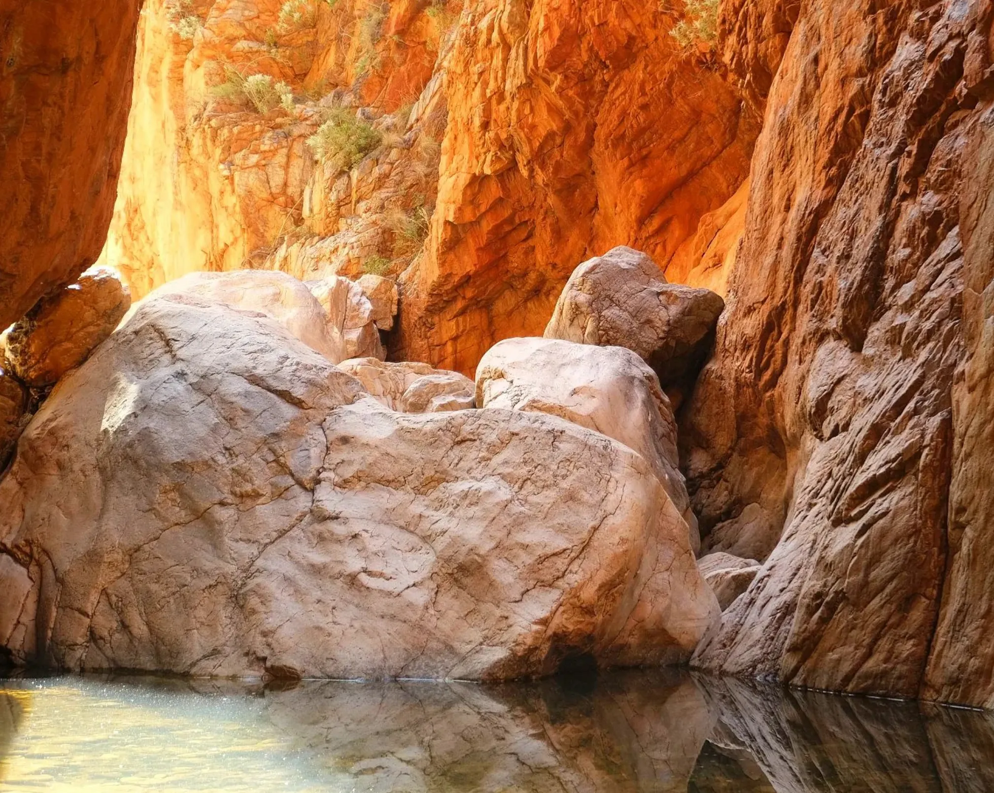 The Larapinta Trail: One of Australia’s Best Multi-Day Hikes