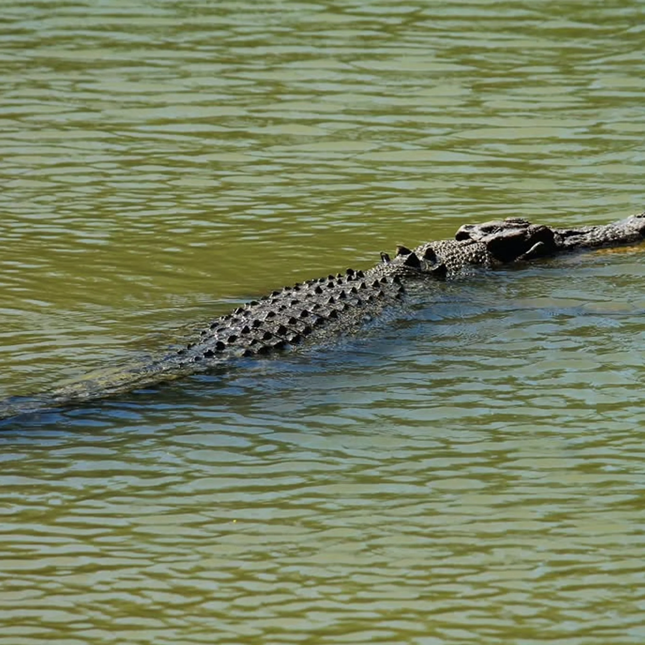 kakadu national park landscape with river