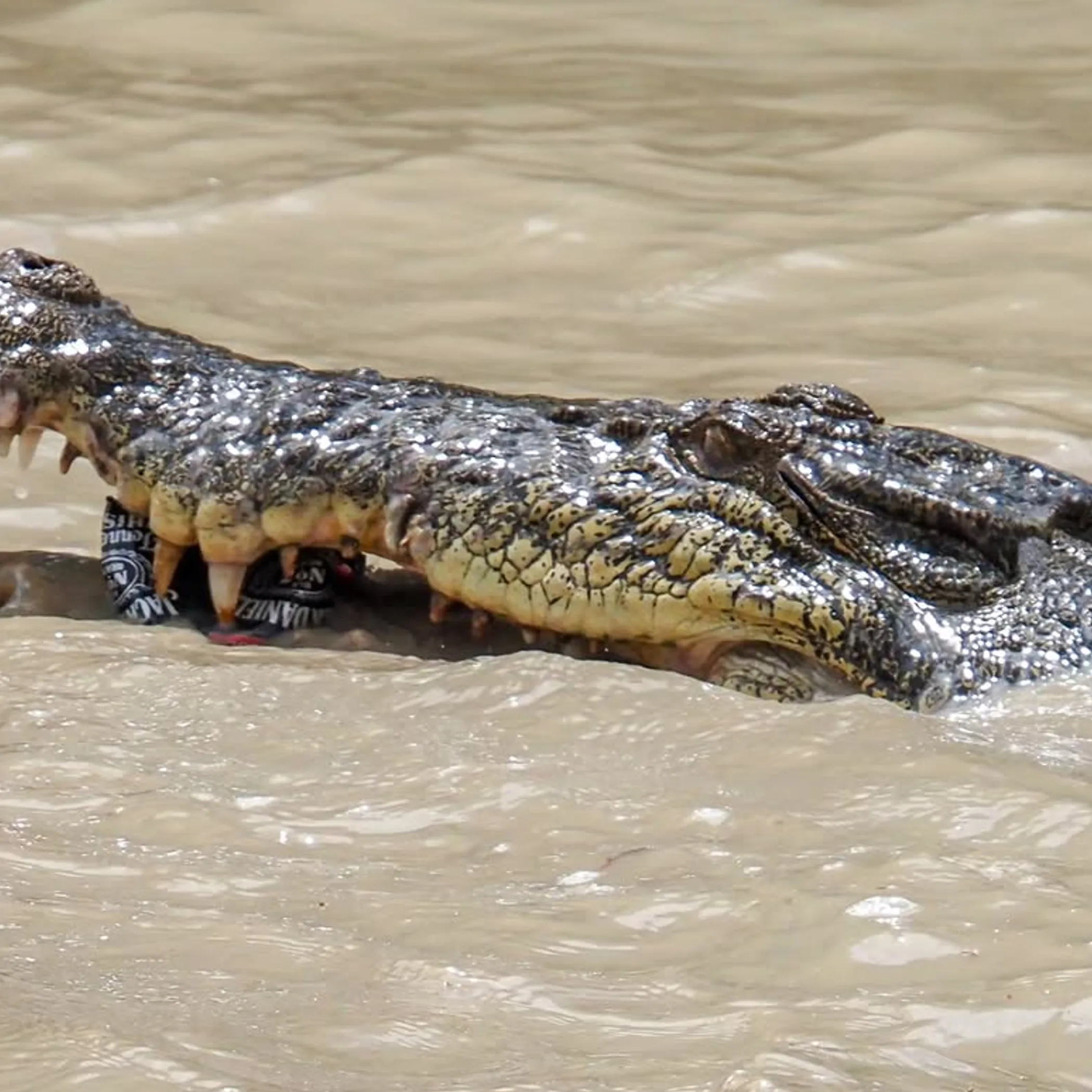 kakadu national park scenic landscape