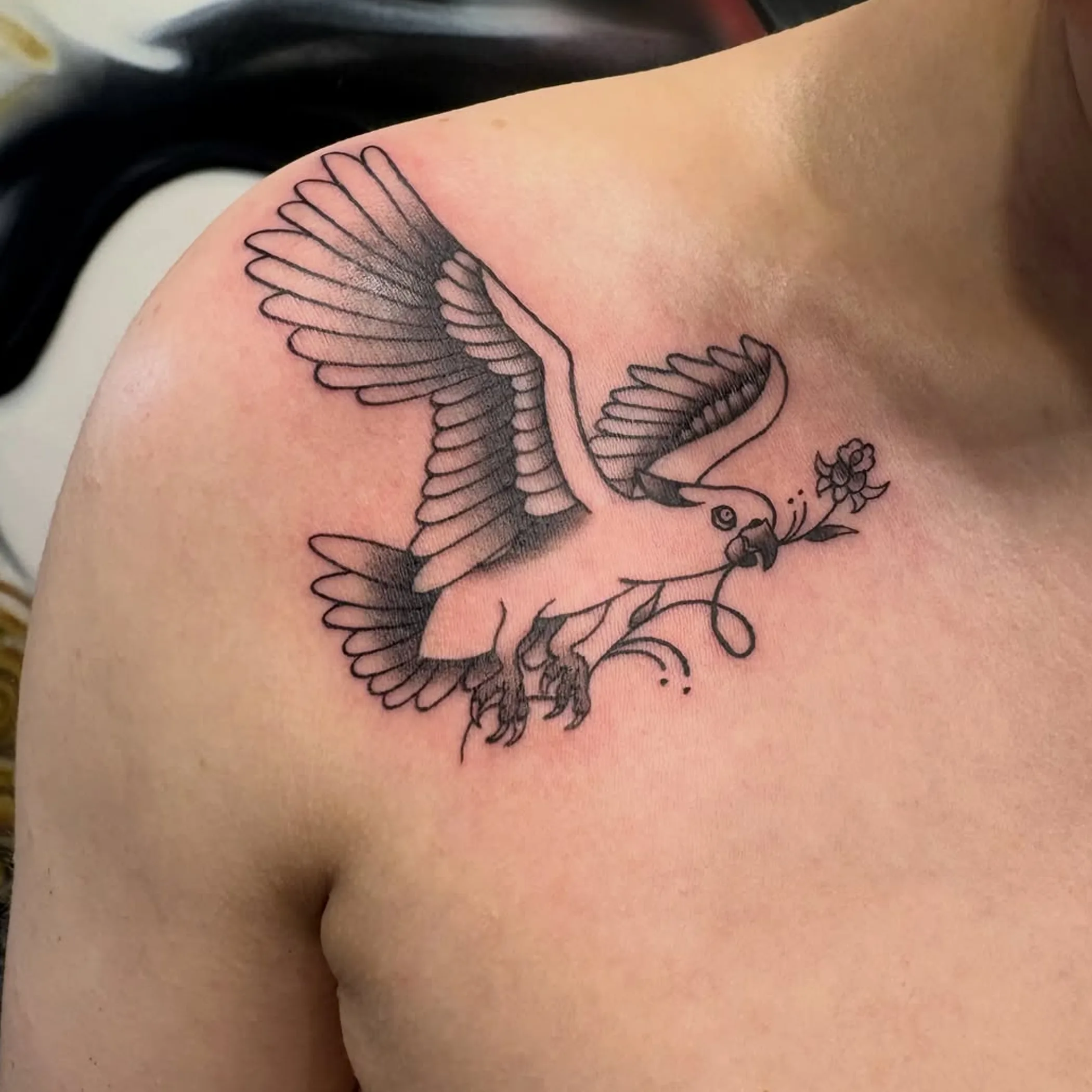 clean australian bird tattoo